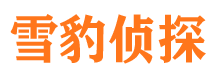 马尾侦探公司